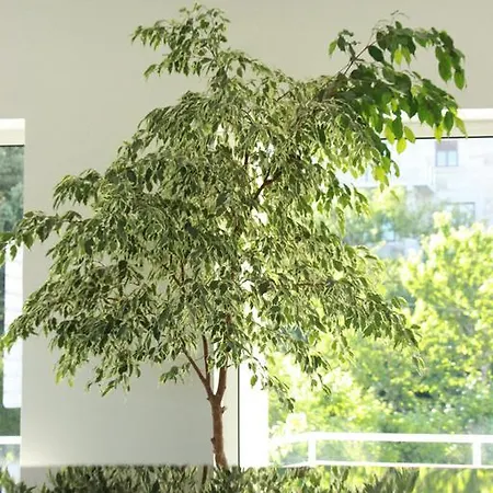 Europa 2* Vila Pouca de Aguiar