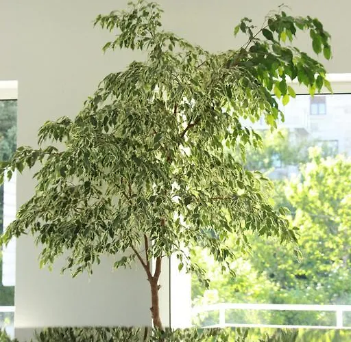 Europa 2* Vila Pouca de Aguiar